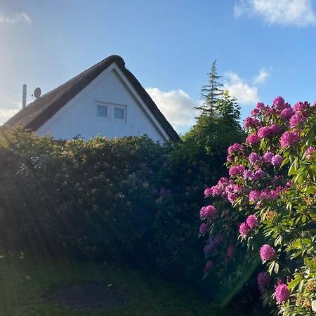 Ferienhaus Butterblume Südbrookmerland Εξωτερικό φωτογραφία
