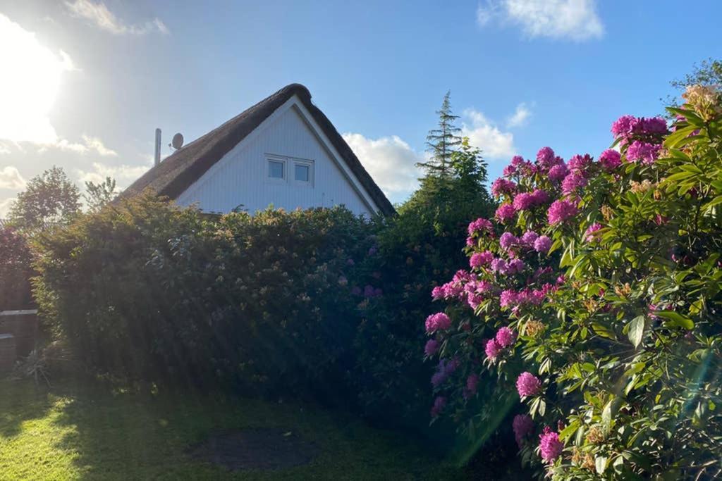 Ferienhaus Butterblume Südbrookmerland Εξωτερικό φωτογραφία